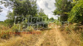 ������� ���������� ���� | Imot.bg � ����� ������ 12