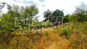 ������� ���������� ���� | Imot.bg � ����� ������ 2