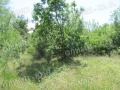 Продава ПАРЦЕЛ, гр. София, с. Панчарево, снимка 1