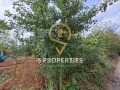 Продава ПАРЦЕЛ, гр. Варна, с. Звездица, снимка 3