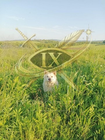 Продава ПАРЦЕЛ, с. Баня, област Бургас, снимка 4 - Парцели - 54280144