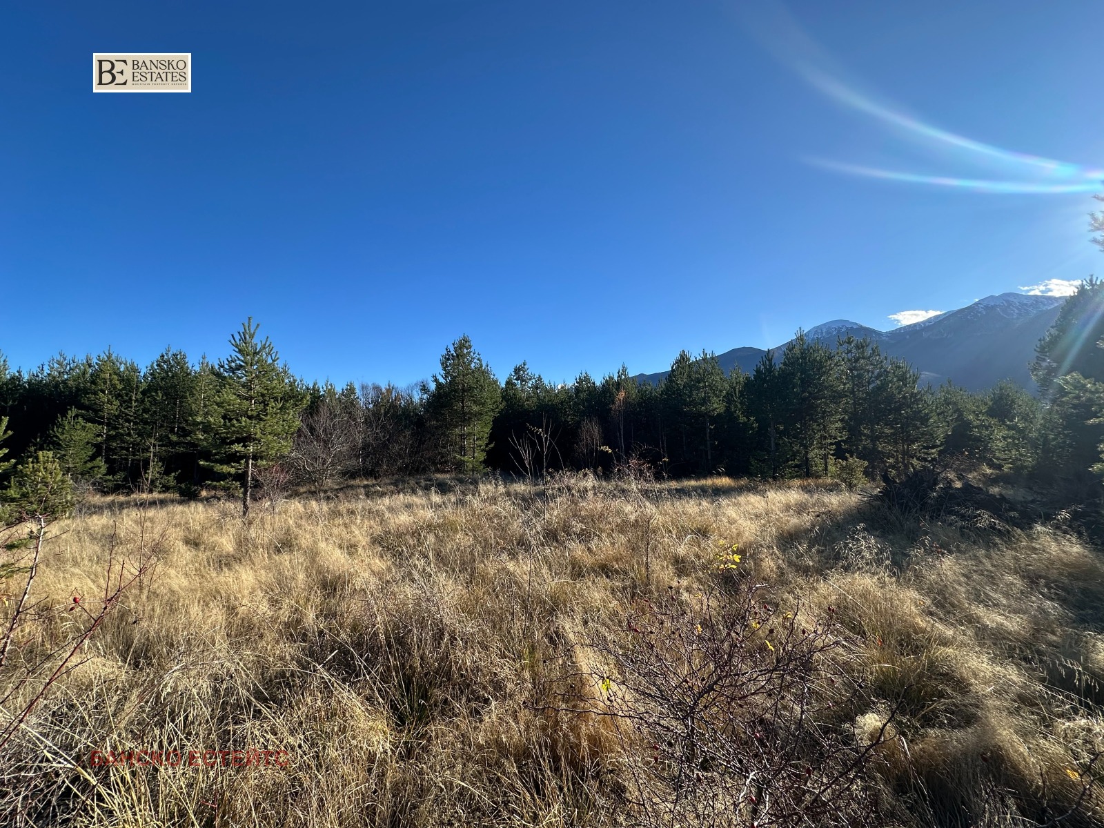 Продава ПАРЦЕЛ, гр. Разлог, област Благоевград, снимка 3 - Парцели - 54369121