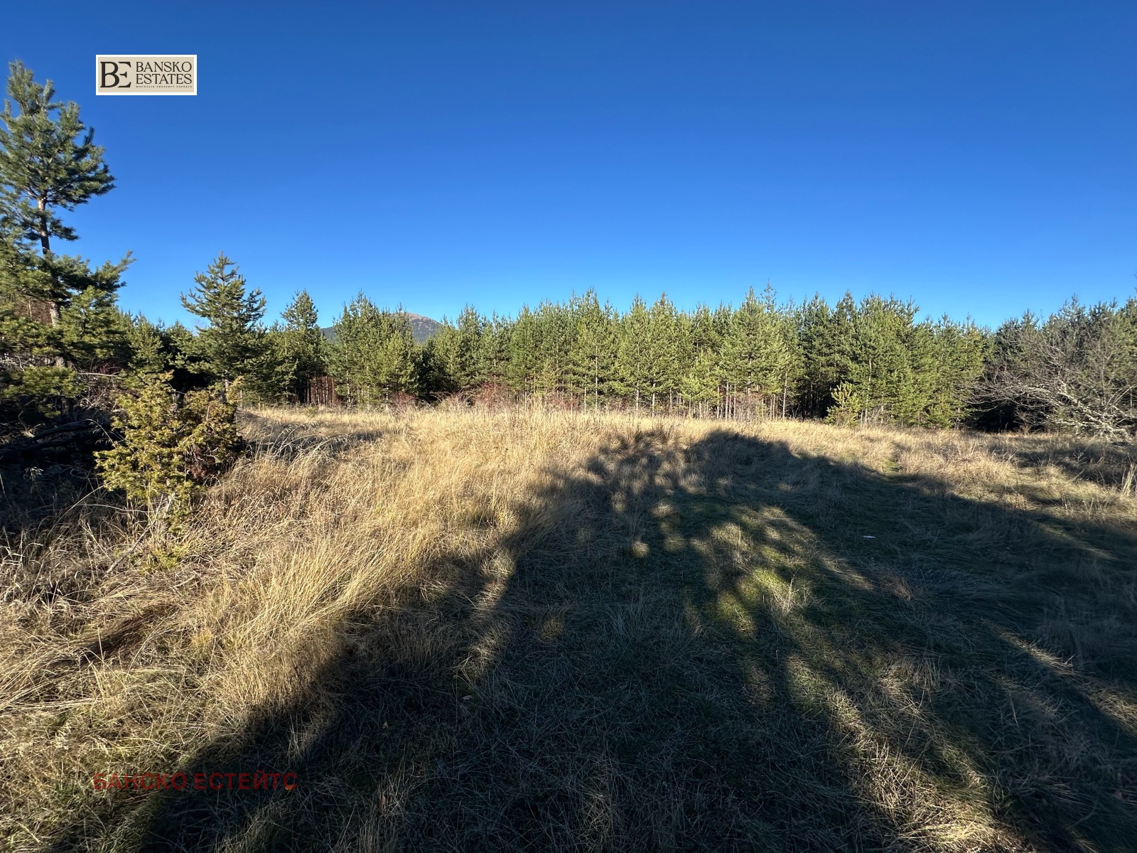 Продава ПАРЦЕЛ, гр. Разлог, област Благоевград, снимка 5 - Парцели - 54369121