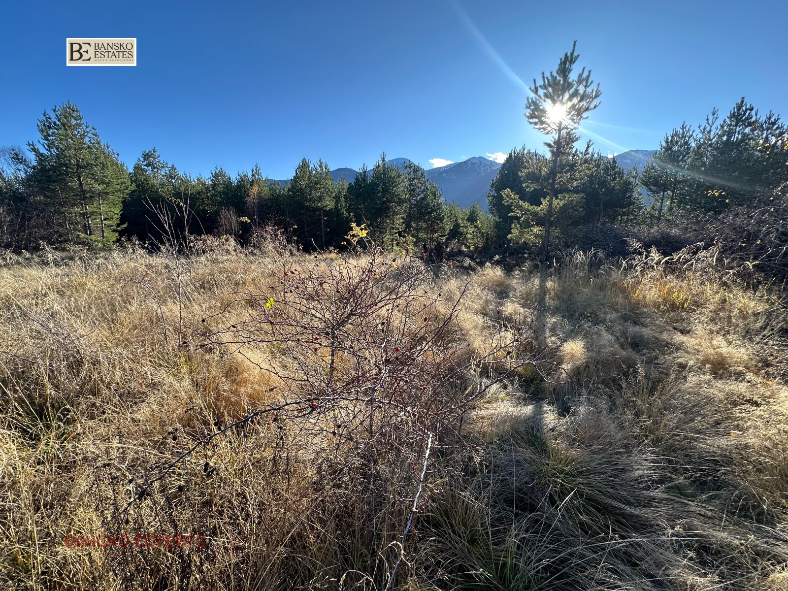 Продава ПАРЦЕЛ, гр. Разлог, област Благоевград, снимка 4 - Парцели - 54369121