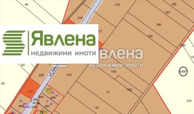 ����� ������� ������,���� �����, ���������