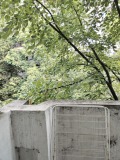 Продава 3-СТАЕН, град Стара Загора, Център • 90000 € / 176024.70 лв. • 15237814 7