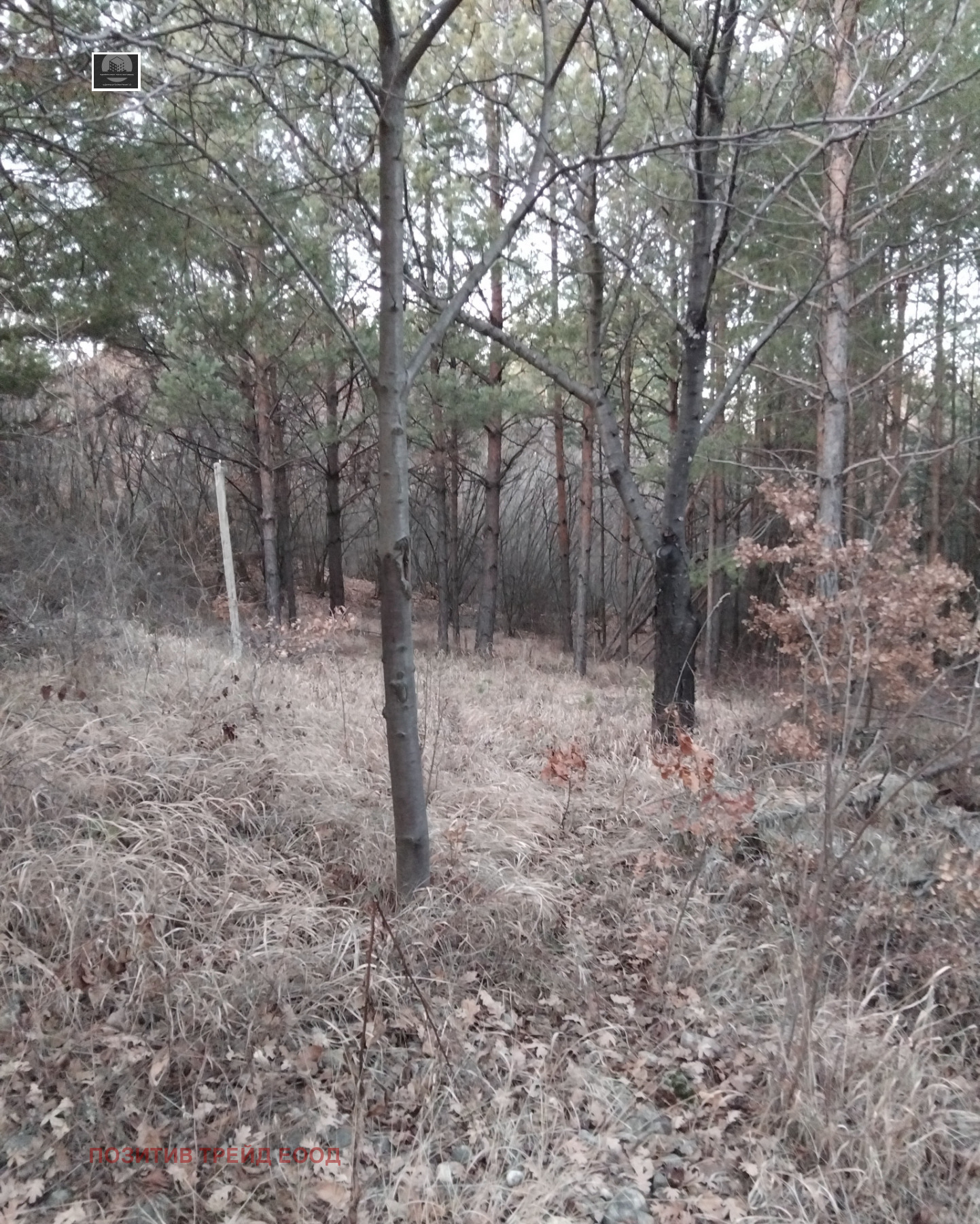 ������� ������ | Imot.bg � ����������� 2