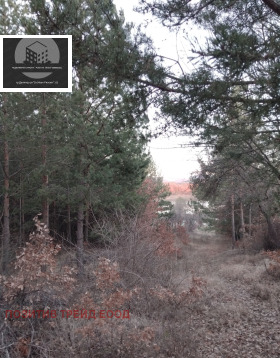 ПАРЦЕЛ, 960 m2