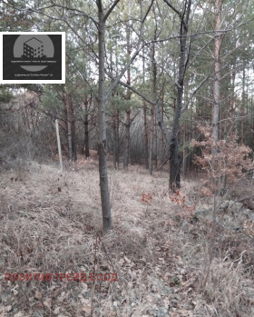 ������� ������ | Imot.bg � ����� ������ 2