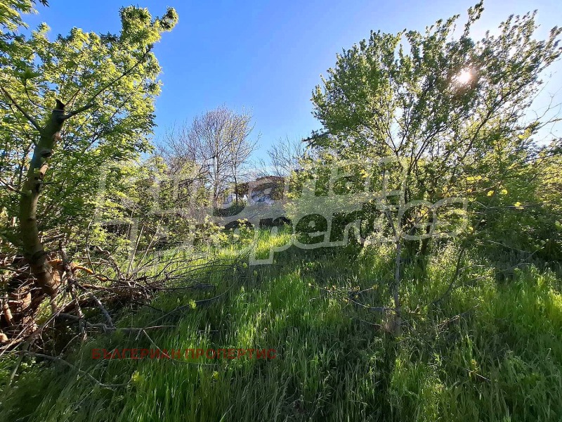 Till salu  Komplott region Yambol , Aleksandrovo , 2430 kvm | 53516833 - bild [6]