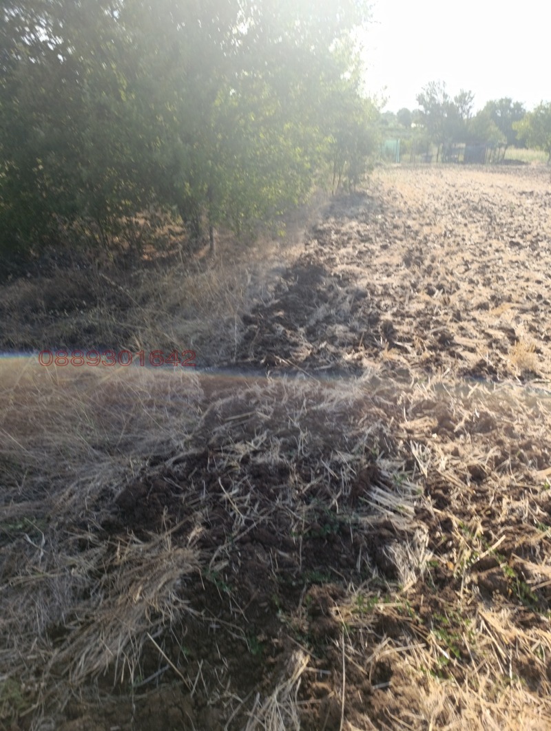 Продава ПАРЦЕЛ, с. Правда, област Велико Търново