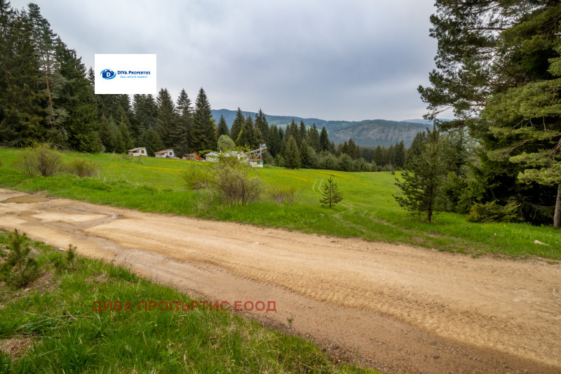 Продава ПАРЦЕЛ, с. Говедарци, област София област, снимка 3 - Парцели - 53023024