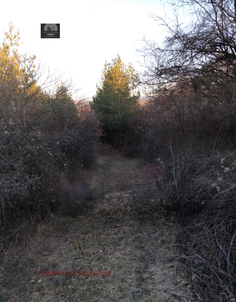 Продава ПАРЦЕЛ, с. Каменик, област Кюстендил, снимка 4 - Парцели - 53168605