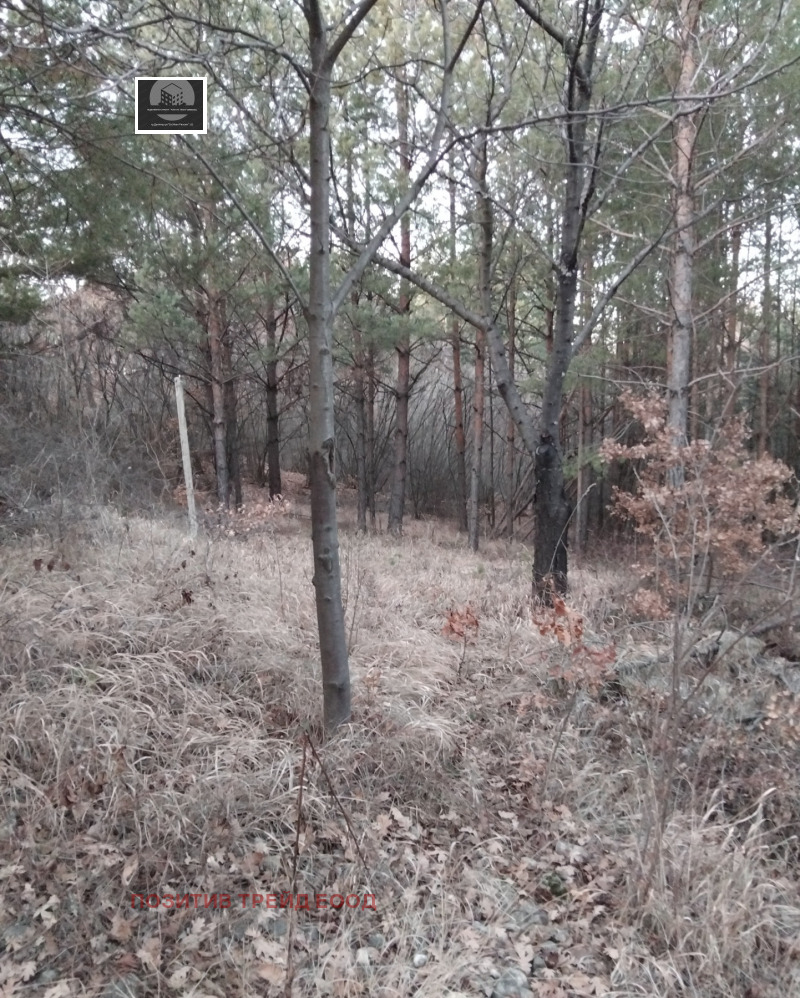 Продава ПАРЦЕЛ, с. Каменик, област Кюстендил, снимка 2 - Парцели - 53168605