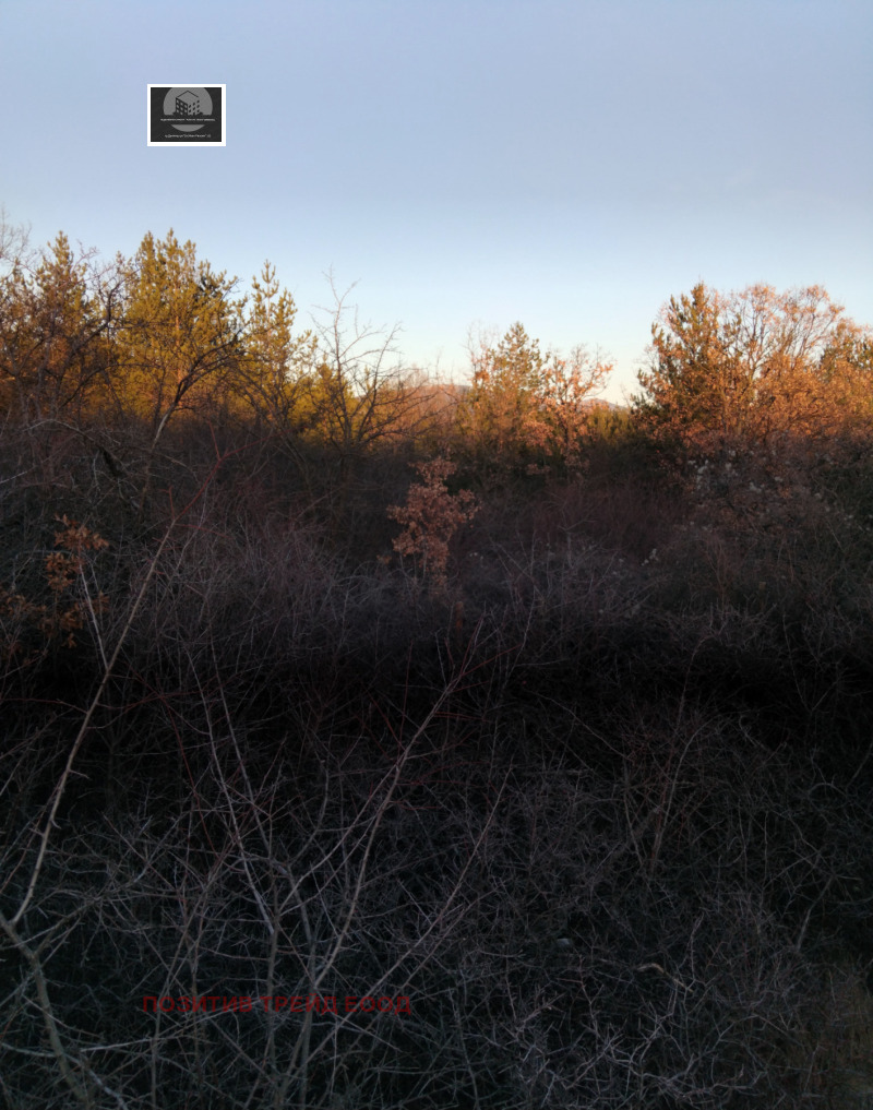 Продава ПАРЦЕЛ, с. Каменик, област Кюстендил, снимка 3 - Парцели - 53168605