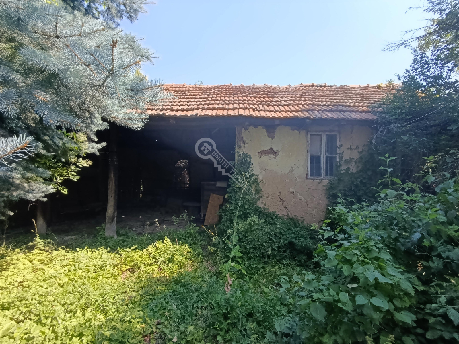 Продава КЪЩА, с. Мерданя, област Велико Търново, снимка 14 - Къщи - 55582911
