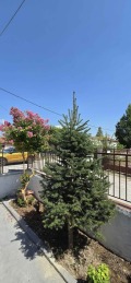 Продава  Къща Гърция , Солун , 80 кв.м | 50978979 - изображение [7]
