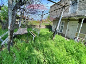 ����� ������� ����,���� �����, �����