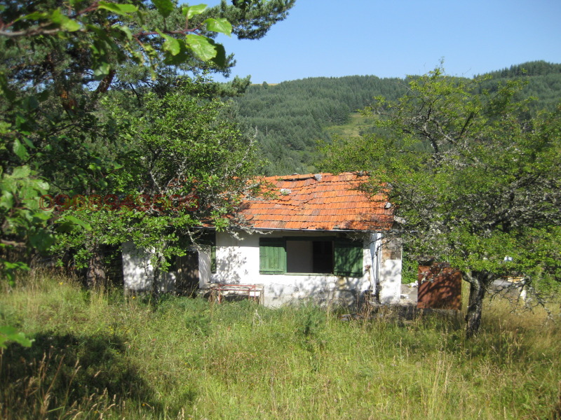 Продава ВИЛА, с. Ситово, област Пловдив, снимка 2 - Вили - 52888975