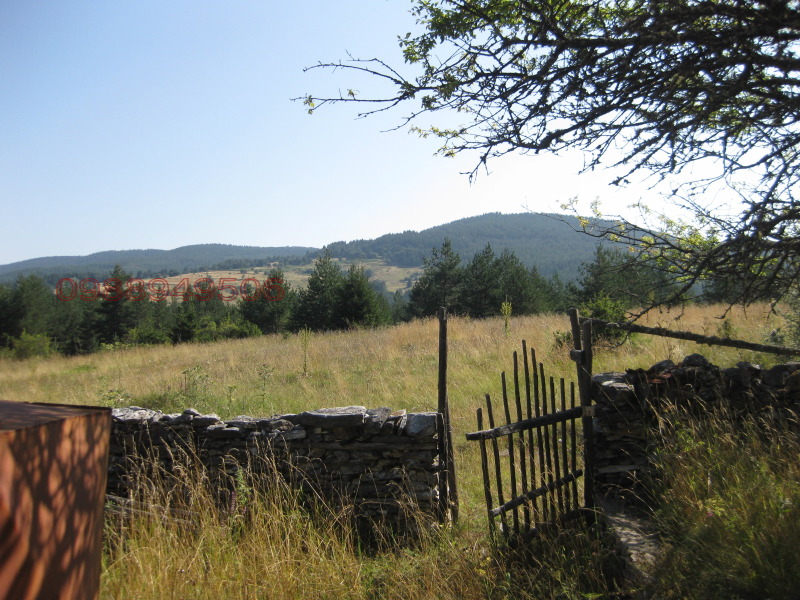 Продава ВИЛА, с. Ситово, област Пловдив, снимка 5 - Вили - 52888975