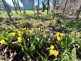 ������� ���� | Imot.bg � ����� ������ 17