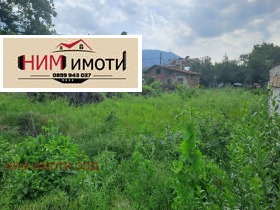 Продается Сюжет