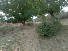 ������� ���������� ���� | Imot.bg � ����� ������ 5