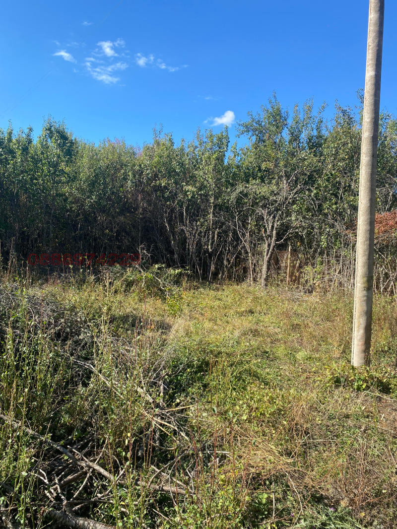 For Sale  House region Sofia , Kalenovtsi , 1450 sq.m | 14808032 - image [8]