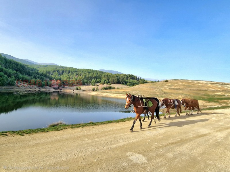 Продава ПАРЦЕЛ, с. Бачево, област Благоевград, снимка 5 - Парцели - 53302899