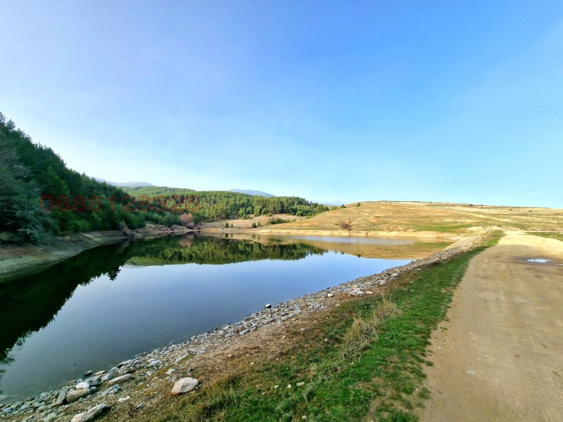 Продава ПАРЦЕЛ, с. Бачево, област Благоевград, снимка 3 - Парцели - 53302899