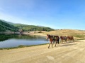 Продава ПАРЦЕЛ, с. Бачево, област Благоевград, снимка 6