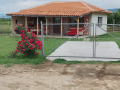 Продава  Парцел област Пловдив , с. Браниполе , 1100 кв.м | 98379101