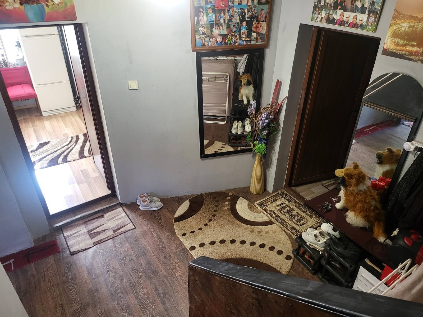 ������� ���� | Imot.bg � ����������� 5