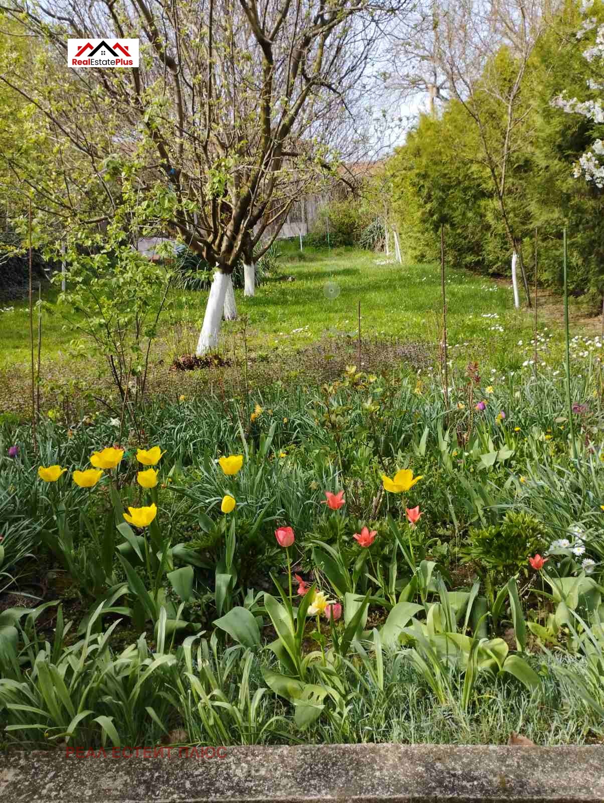 ������� ���� | Imot.bg � ����������� 9