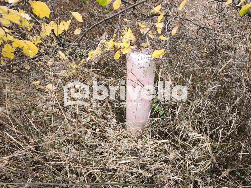 ������� ������ | Imot.bg � ����������� 8