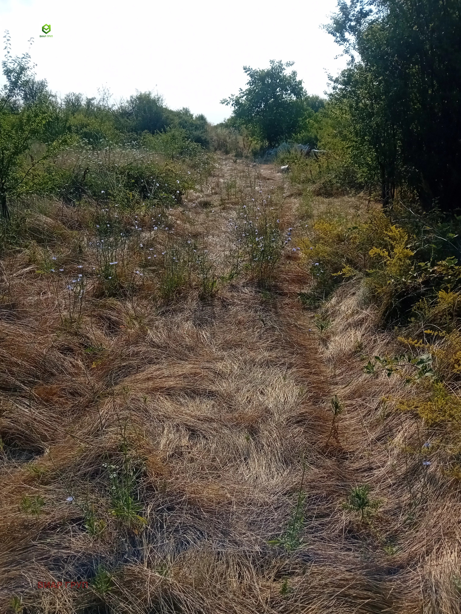 ������� ���������� ���� | Imot.bg � ����������� 5