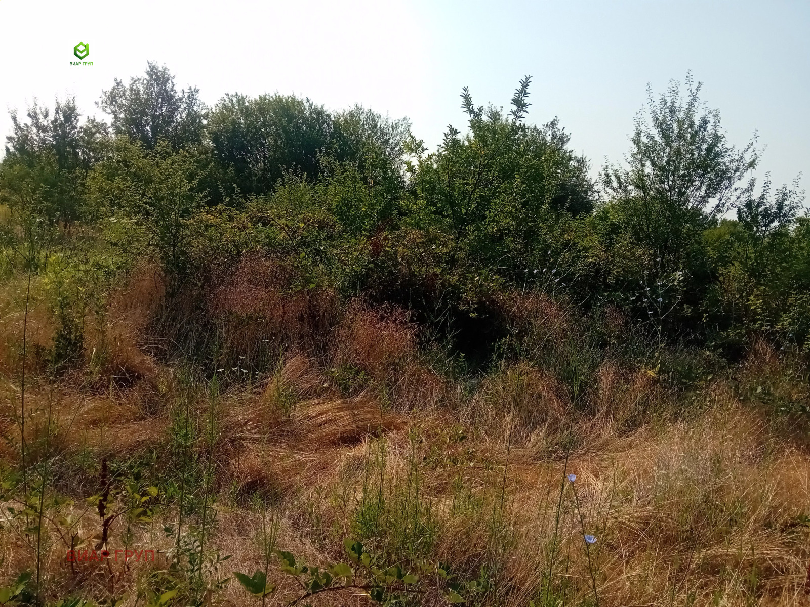 ������� ���������� ���� | Imot.bg � ����������� 1