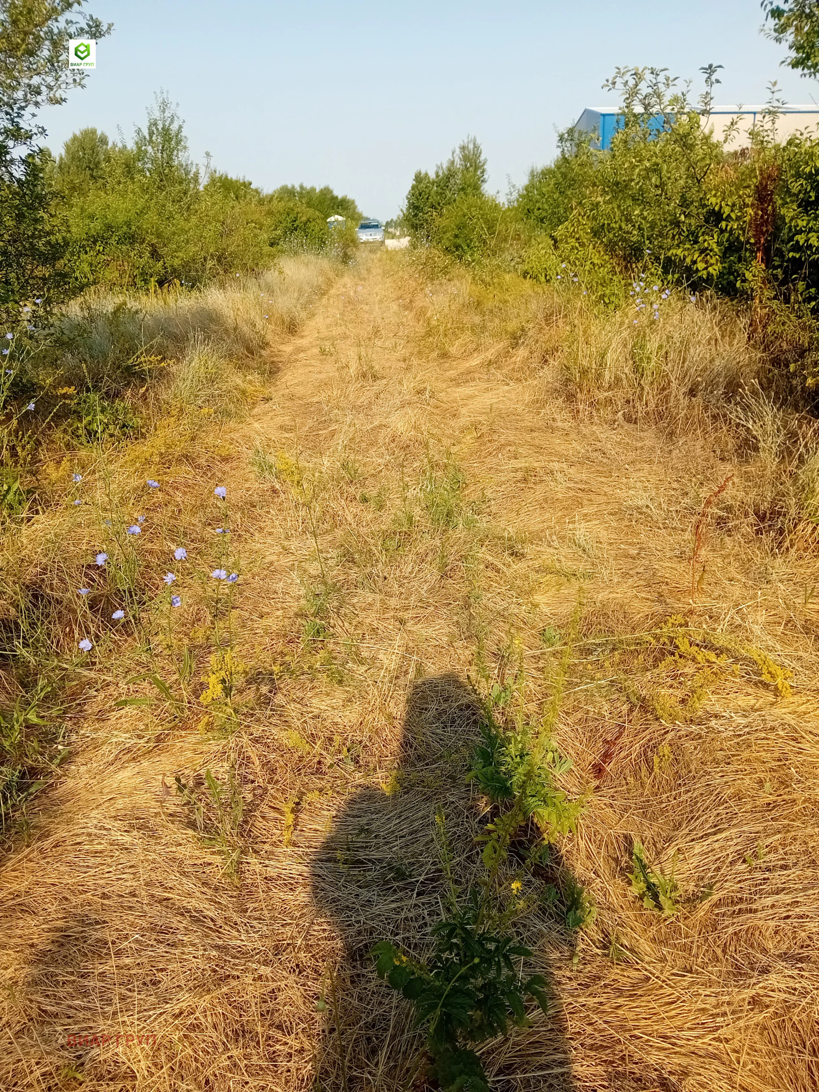 ������� ���������� ���� | Imot.bg � ����������� 2