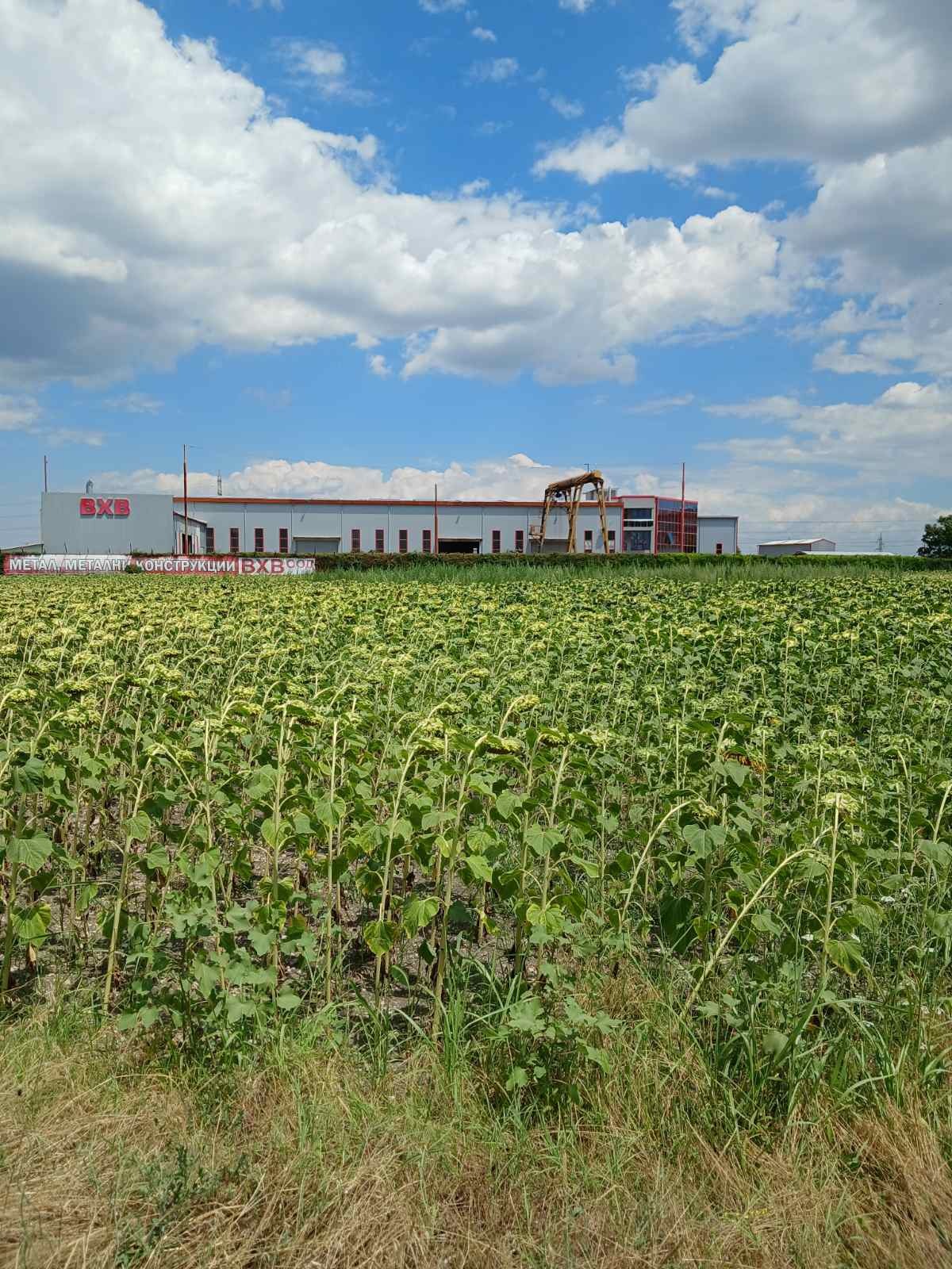 Продава ПАРЦЕЛ, с. Крумово, област Пловдив, снимка 3 - Парцели - 55275209