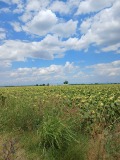 Продава ПАРЦЕЛ, с. Крумово, област Пловдив, снимка 1