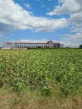 Продава ПАРЦЕЛ, с. Крумово, област Пловдив, снимка 3