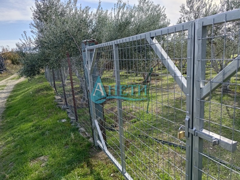 Продава ПАРЦЕЛ, Извън страната, област Извън страната, снимка 6 - Парцели - 52637253