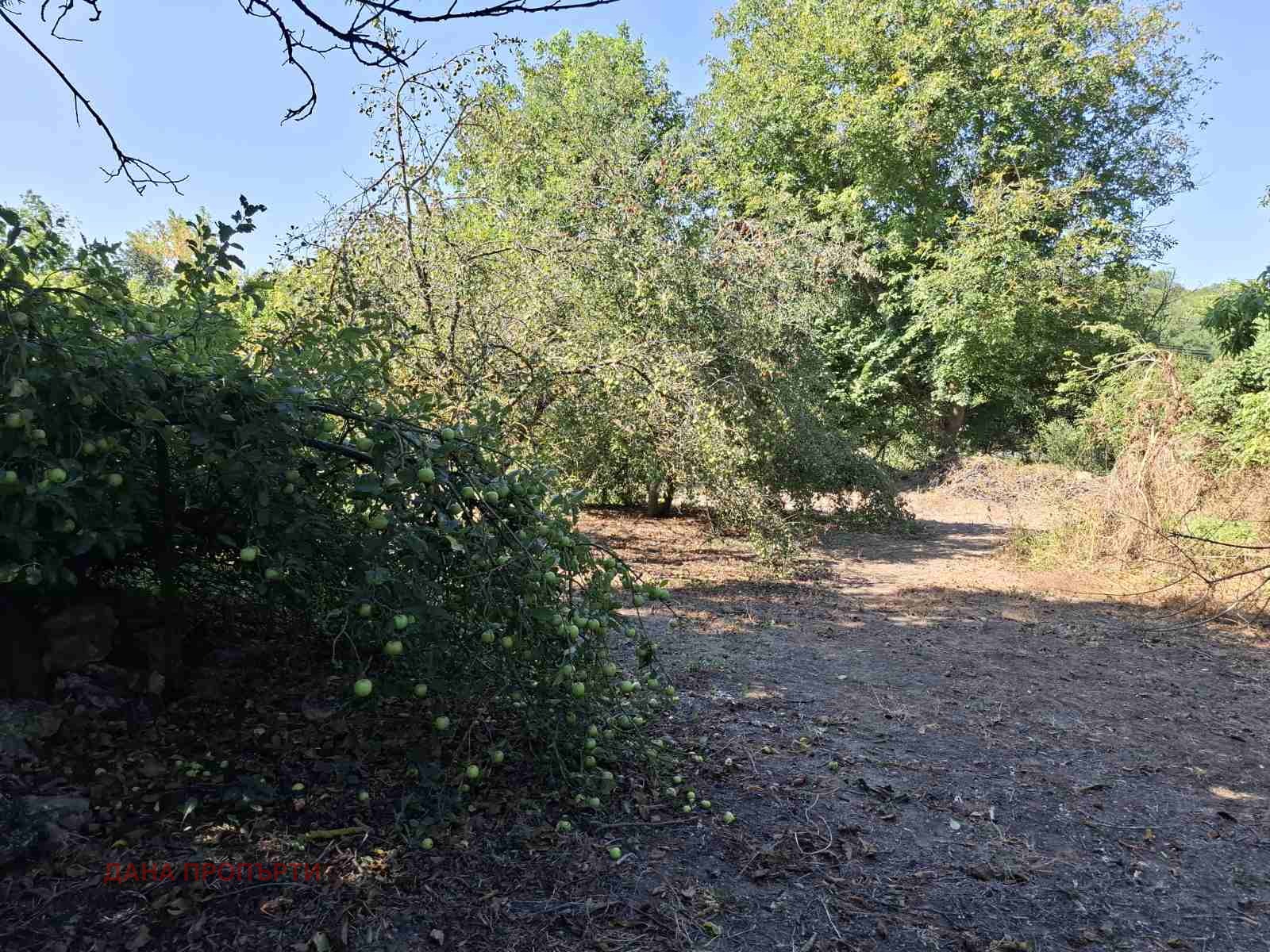 Продава КЪЩА, с. Николаевка, област Варна, снимка 2 - Къщи - 56112483