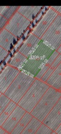 Продава  Парцел област Пловдив , с. Тополово , 5500 кв.м | 20484078 - изображение [3]
