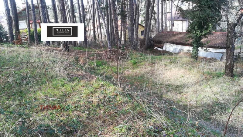 Продава ПАРЦЕЛ в град София, гр. Банкя - 891 кв.м / 247 000 € » 483 090.01 лв., ТИЛИА