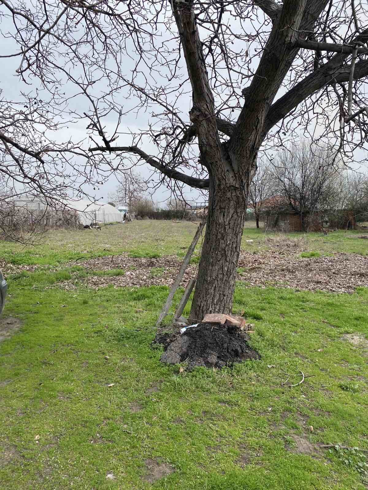 Продава ПАРЦЕЛ | Imot.bg — изображение 1