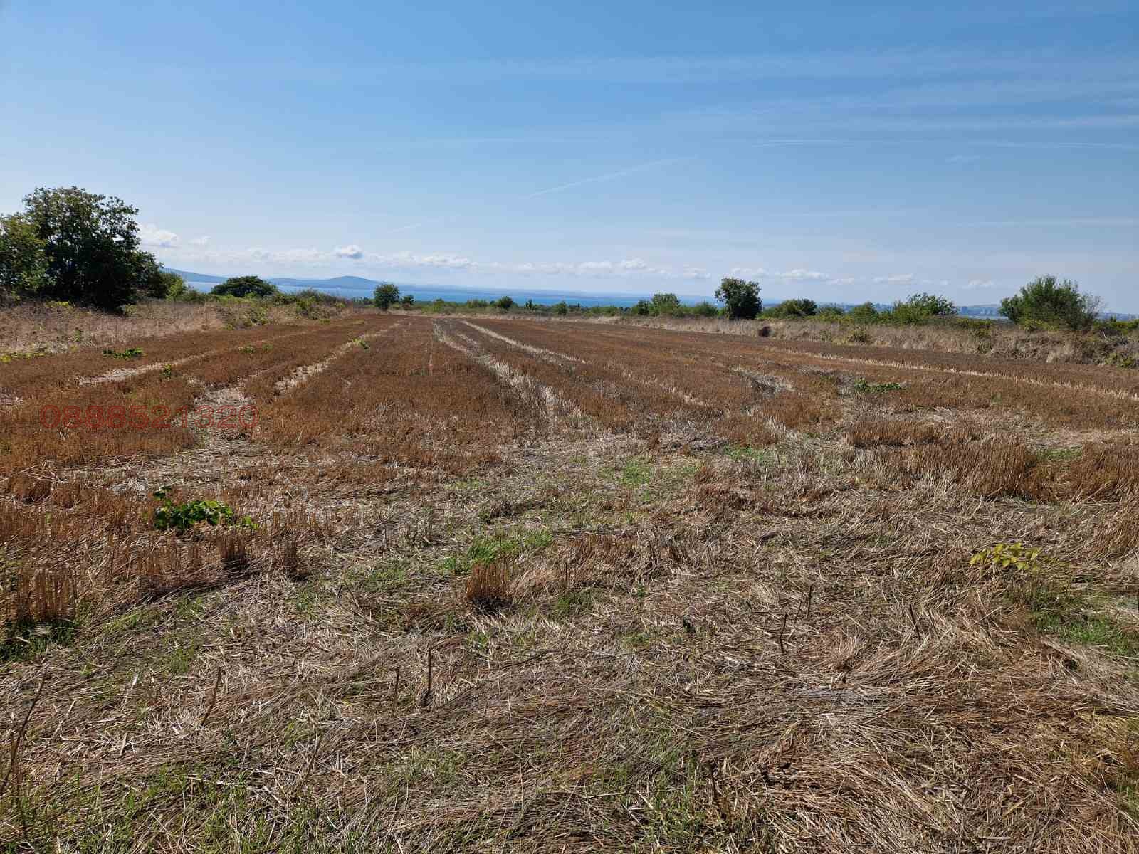 ������� ������ | Imot.bg � ����������� 4