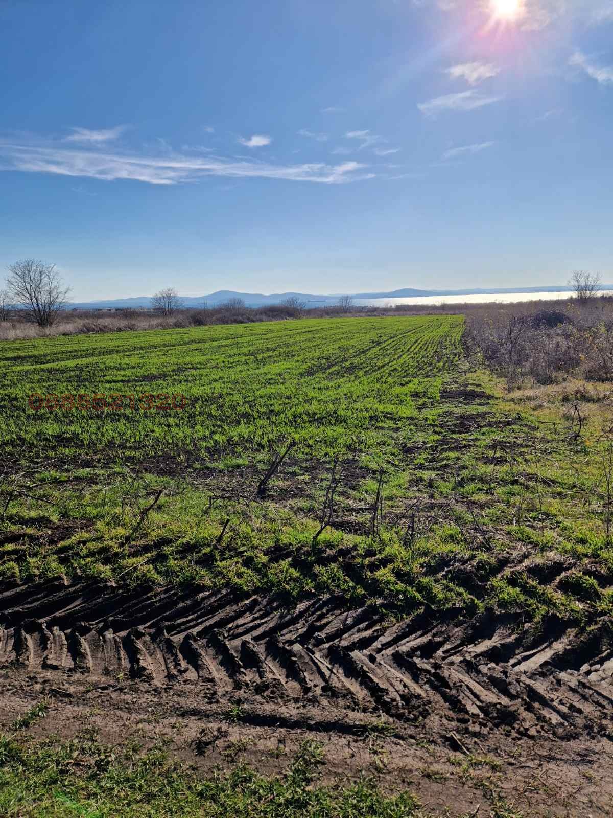 ������� ������ | Imot.bg � ����������� 5