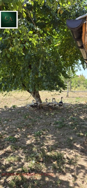 ������� ���� | Imot.bg � ����� ������ 3