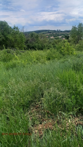 Spiknutí Novo gradište, oblast Veliko Tarnovo